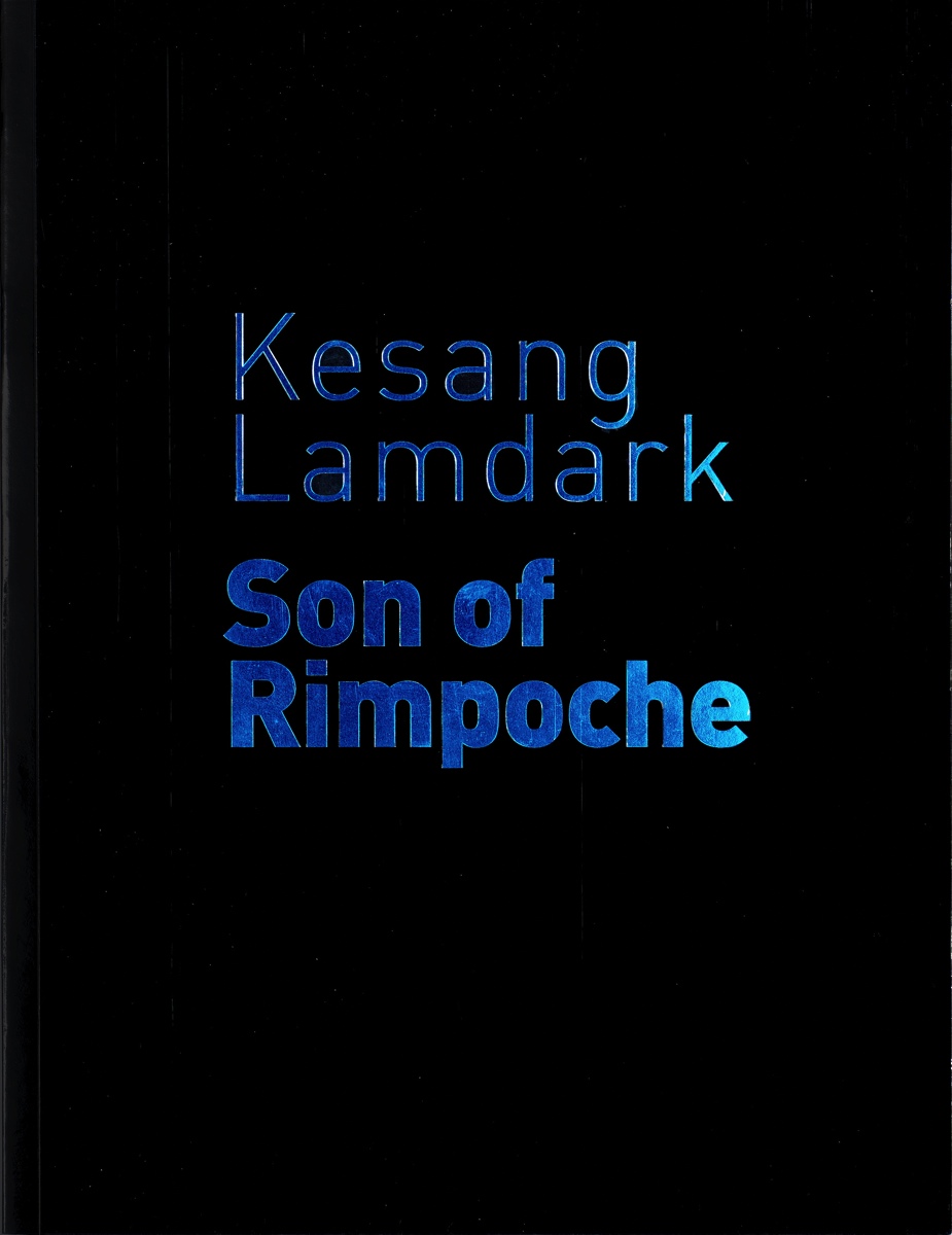 2011 LAMDARK cover