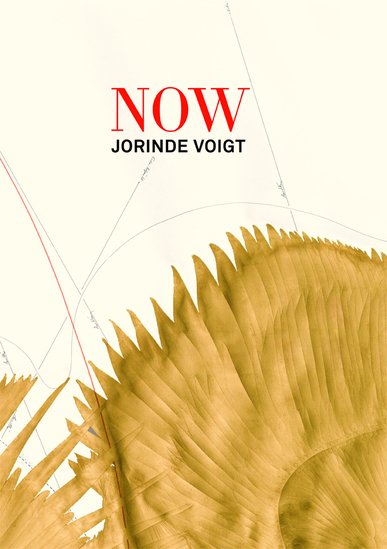 2015 Voigt NOW cover