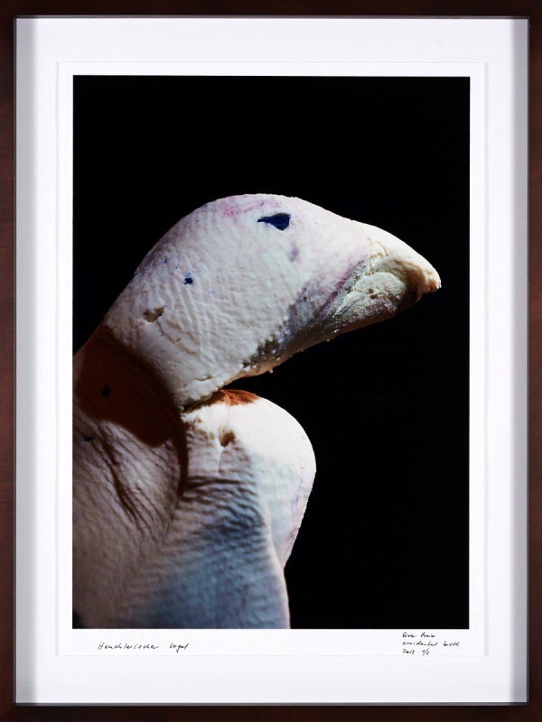 Heuchlerischer Vogel
(Hypocritical Bird) (Accidental Birth))