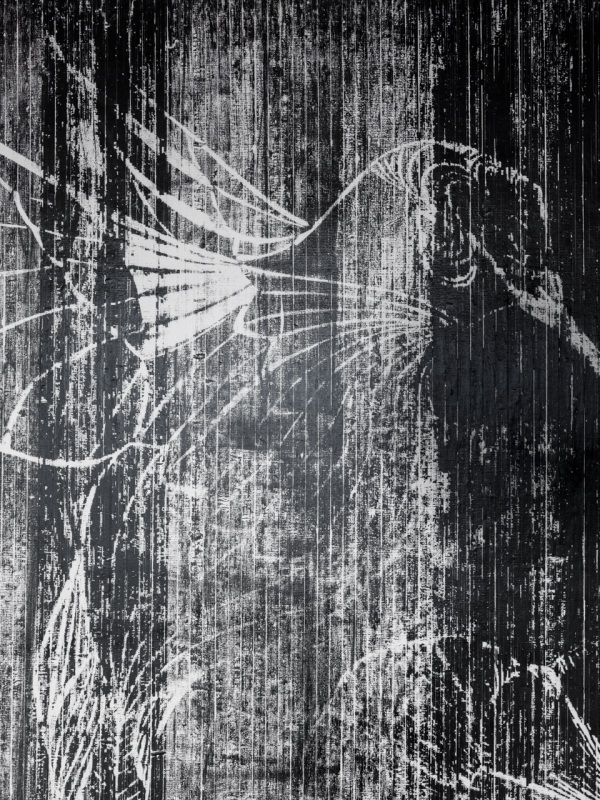 U2 (Vogel schwarz)