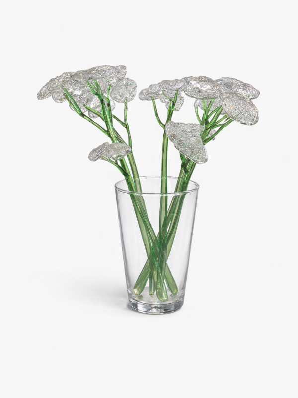 Untitled (Yarrow)
